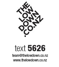 TheLowDown