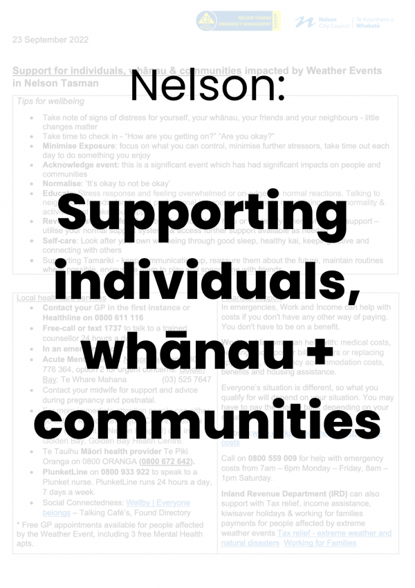 Nleson Supportingindividuals
