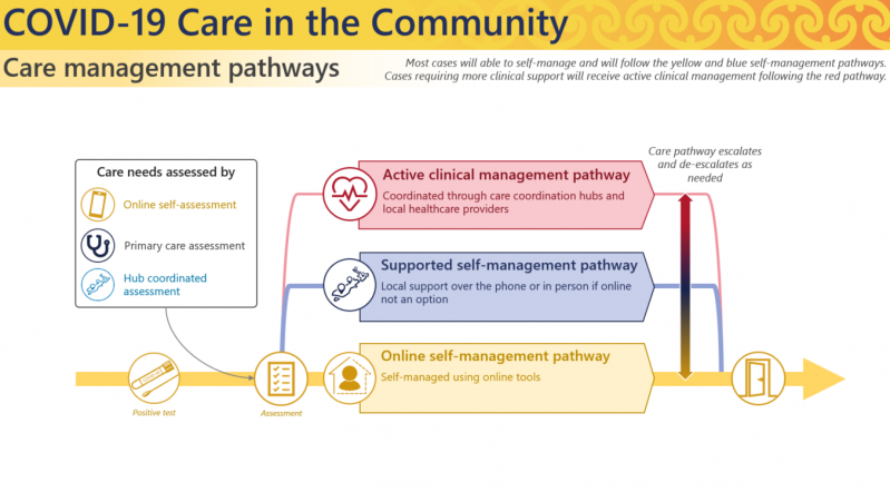 COVID 19 Care In the Community - diagram showing different healthcare pathways
